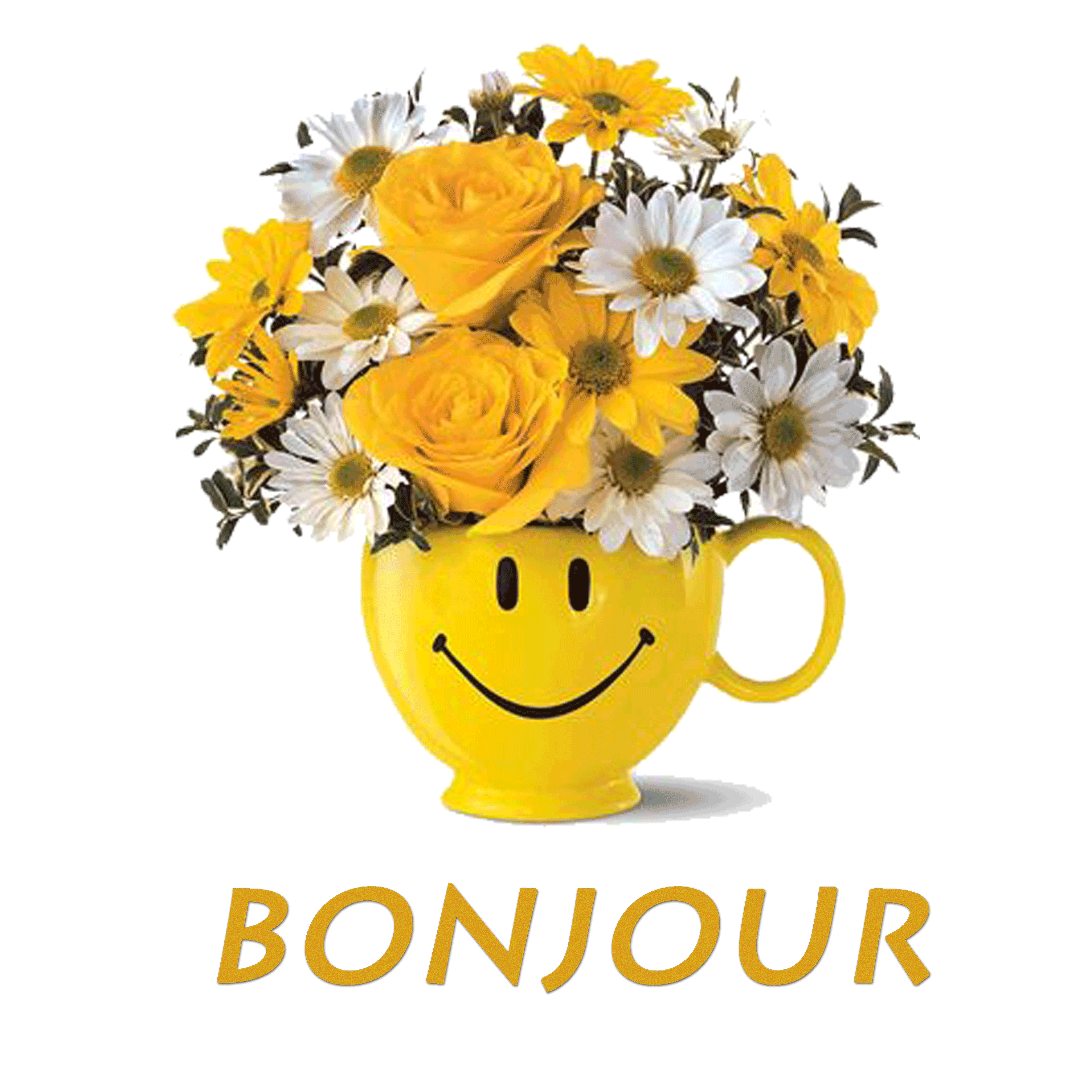 bonjour