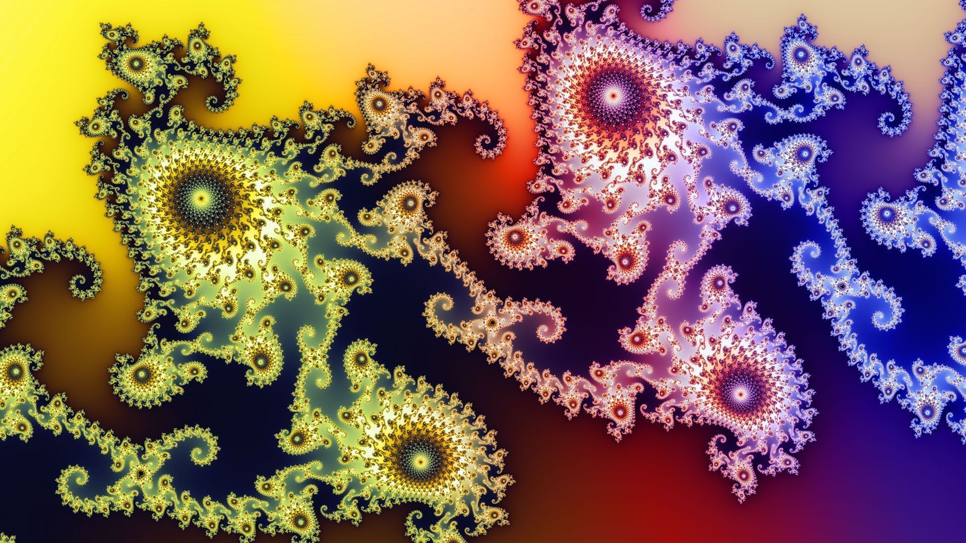 fractal-24